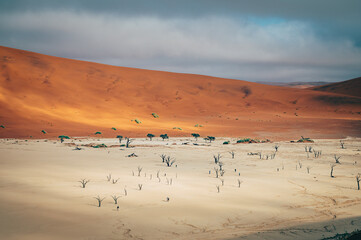 Fototapeta na wymiar Panorama-Blick in das Deadvlei, in das die ersten Sonnenstrahlen durch den Nebel dringen - Touristen wandern zwischen den toten Bäumen auf dem weißen rissigen Ton-Schluff-Boden (Sossusvlei, Namibia)