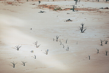 Blick in das Deadvlei, in das die ersten Sonnenstrahlen durch den Nebel dringen - Touristen wandern zwischen den toten Bäumen auf der weißlichen Ton-Schluff-Schicht im Deadvlei (Sossusvlei, Namibia)