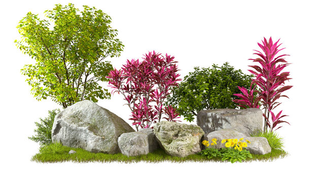 Gardening plants and flowery design composition with realistic nature rock transparent backgrounds 3d rendering
