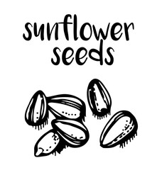 Sunflower seeds isolated on white background, vector