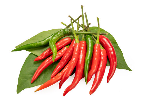 Red and green Pepper with leaf, Hot Red and Green chiiiies Isolate on white background with clipping path.