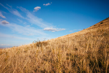 Landscape shot of the Georgian steppe Udabno in Georgia. Diagonally uphill yellow-gold tall grass...
