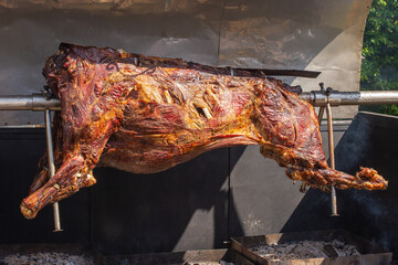The whole bull grilled traditionally with coal and fire. Roasted bull on the metal spit. Outdoor...