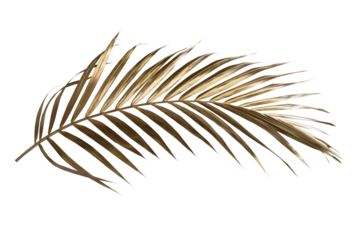 Golden palm leaf PNG on transparent background Abstract monstera leaf decoration design, PNG	