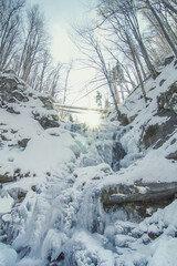 Frozen fall with sunlight landscape photo. Beautiful nature scenery photography with snowy wilderness on background. Idyllic scene. High quality picture for wallpaper, travel blog, magazine, article