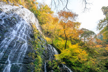 秋の龍双ヶ滝　福井県今立郡　Ryusogataki waterfall in autumn. Fukui Prefecture, Imadate-gun.