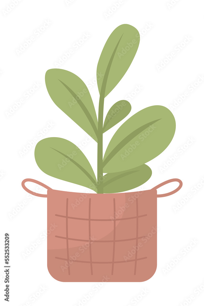 Poster houseplant in wicker basket semi flat color vector object. editable elements. full sized items on wh