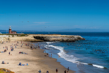 Beautiful Coastline of Central California USA. 