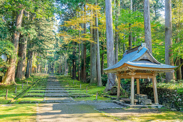Fototapeta premium 秋の平泉寺白山神社 福井県勝山市 Heisenji Hakusan Shrine in autumn. Fukui Prefecture, Katsuyama City.