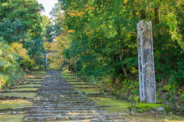 秋の平泉寺白山神社　福井県勝山市　Heisenji Hakusan Shrine in autumn. Fukui...