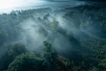 Aerial Overview of foggy forest in Sweden