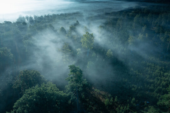 Aerial Overview of foggy forest in Sweden