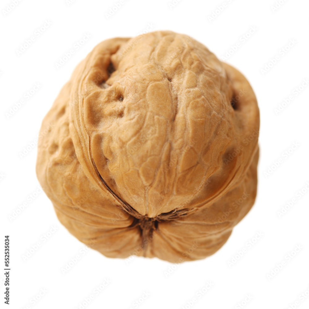 Poster walnuts on a white background