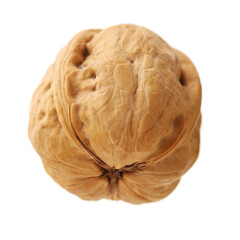 walnuts on a white background