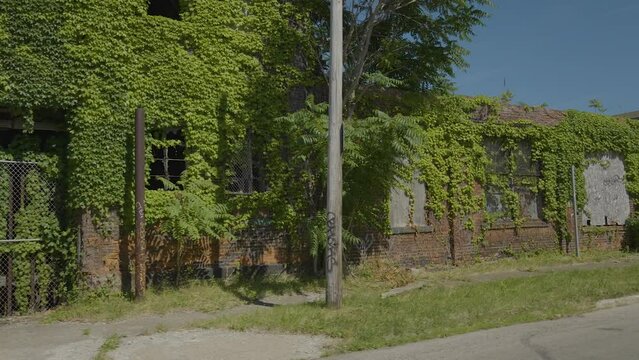 Panning shot of abandoned building with graffiti and vines growing all along the walls of the building located in Cleveland Ohio.