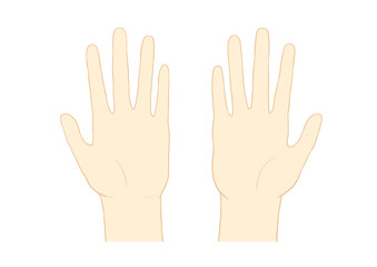 手のひら　両手　広げる