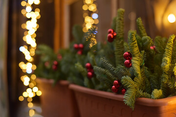 Fototapeta premium Winter. Christmas tree on the background of the city