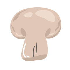 Cartoon vector icon illustration of mushroom champignon. Fresh cartoon organic mushroom isolated on white background used for magazine, book, poster, card, menu cover, web pages