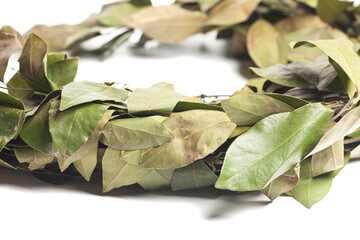 Wreath of laurel leaves isolated on white. Dried laurel leaf seasoning