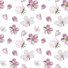 Hand drawn  pink and white flowers seamless pattern isolated on transparent background. Realistic hand drawn ornament