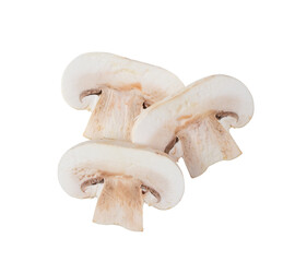 Raw slice champignon isolated on transparent png