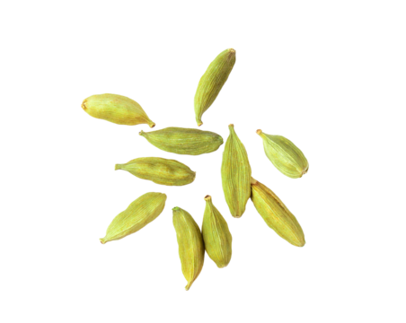 Top view of group of cardamom isolate on transparent png