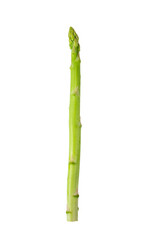 asparagus isolated on transparent png