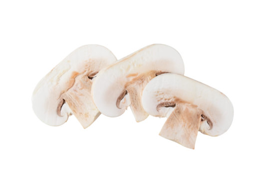 Raw slice champignon isolated on transparent png