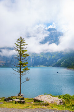 beautiful lake Oeschinensee, bernese oberland. tree at the shore and clouds