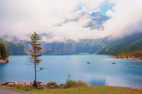 beautiful lake Oeschinensee, bernese oberland. tree at the shore and clouds