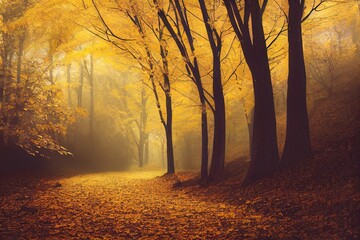 Autumn in the forest with Yellow leaf 