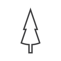 Pine tree illustration