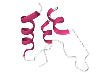 Structure of insulin-like growth factor 1 (IGF-1), 3D cartoon model of the tertiary structure with the elements of the secondary structure colored