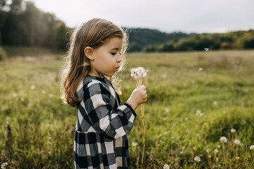 Little girl blowing dandelions on a summer day in a field.