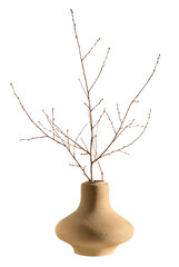 Clay pot with branch isolated on transparent background. A piece of furniture in a rustic or Scandinavian style. Still life with vase for interior design decoration.