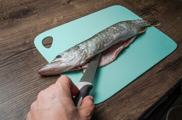 The cook cuts raw pike fish on a cutting board with a knife	
