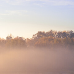 Fototapeta premium autumn landscape in the fog