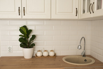 white Scandinavian-style kitchen with ficus on the table, kitchen details, kitchen utensils, wooden table, white ceramic brick wall background,