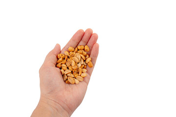 Hand holding heap of salt roasted peanuts on transparent background