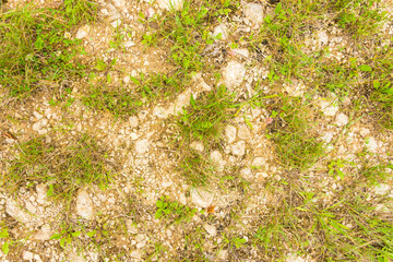 natural ground texture for background, wallpaper