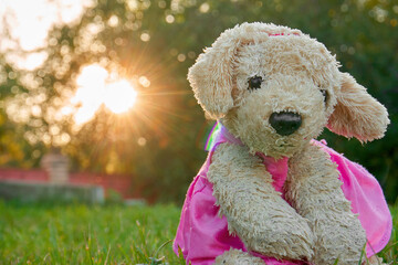 A toy plush dog in a pink dress sits on green grass, in the background green foliage and rays of the sun