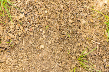 natural ground texture for background, wallpaper