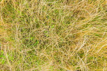 natural ground texture for background, wallpaper