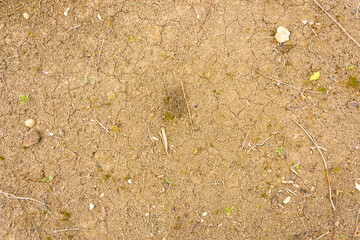 dry mud ground texture for background, wallpaper