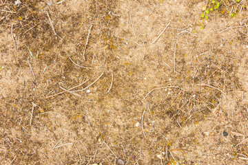 natural ground texture for background, wallpaper