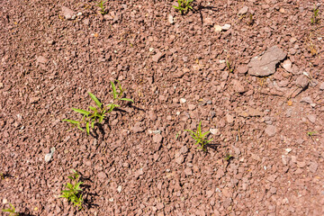 natural ground texture for background, wallpaper