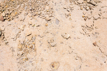 natural ground texture for background, wallpaper