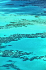 Fototapeta na wymiar Airview of shallow water-covered Opal Reef on the Great Barrier Reef. Queensland-Australia-328