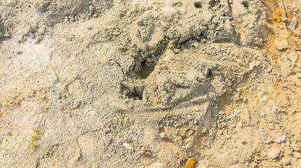 sand texture for background, wallpaper