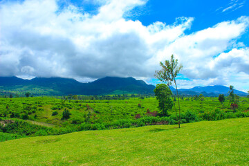 Grassy Field and Rolling Hills. Rural Scenery. Idyllic Mountain Landscape with Blue Sky and White Clouds